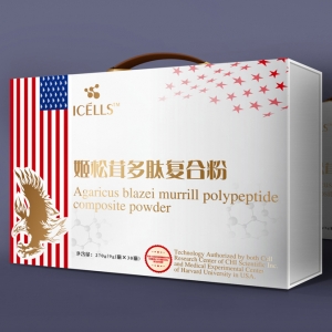 欧美风格